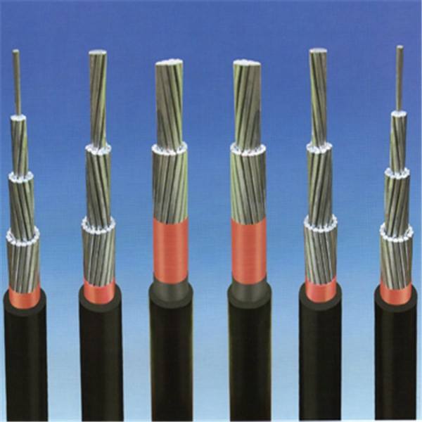 WLD-KJEGP �^�����Ƶ͟��o�u��|