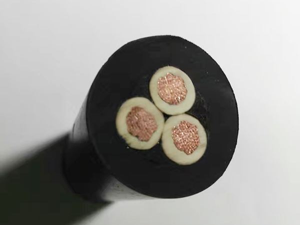 YZ YZW ����������|