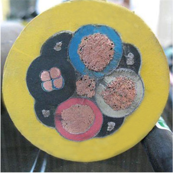 MYP �V����ȼ������|